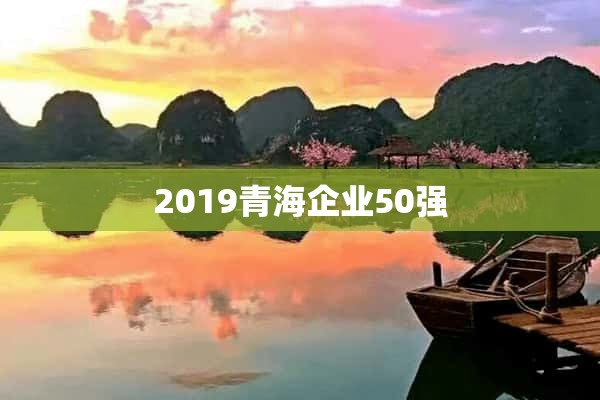 2019青海企业50强