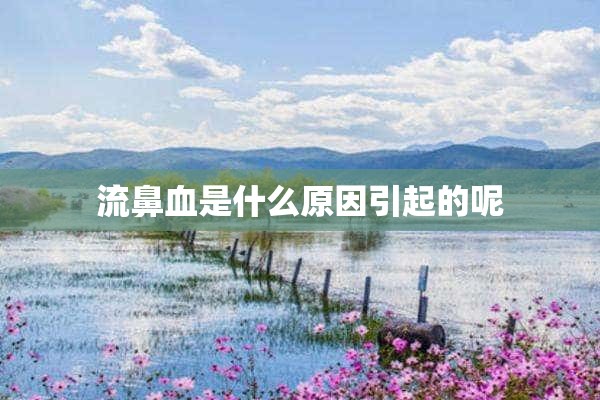 流鼻血是什么原因引起的呢