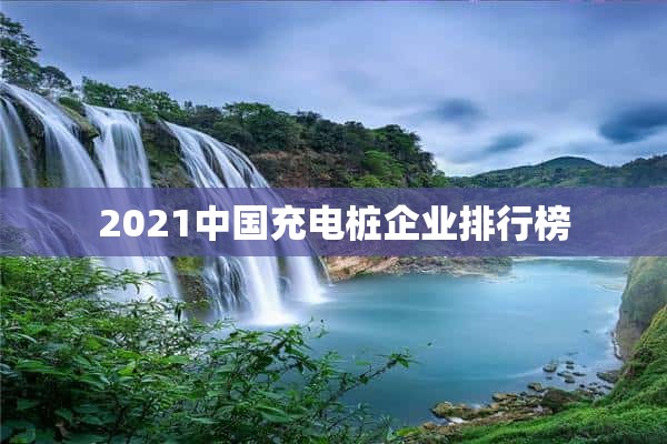 2021中国充电桩企业排行榜