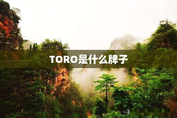 TORO是什么牌子