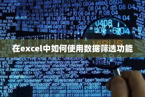 在excel中如何使用数据筛选功能