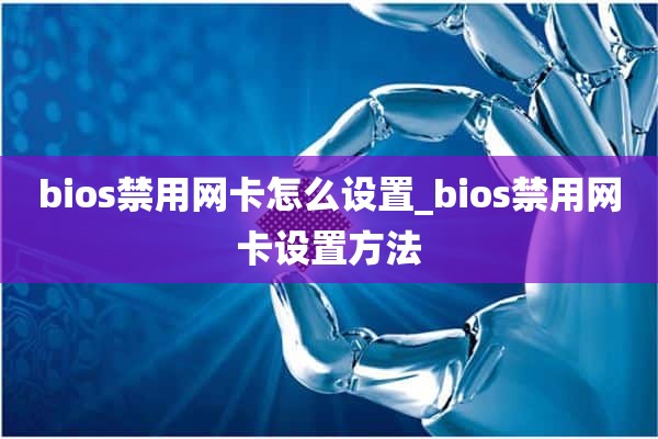 bios禁用网卡怎么设置_bios禁用网卡设置方法