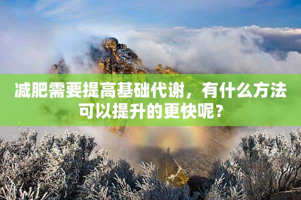 减肥需要提高基础代谢，有什么方法可以提升的更快呢？