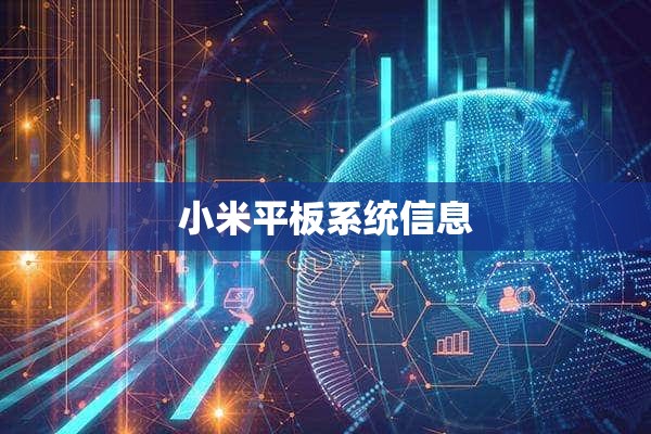 小米平板系统信息