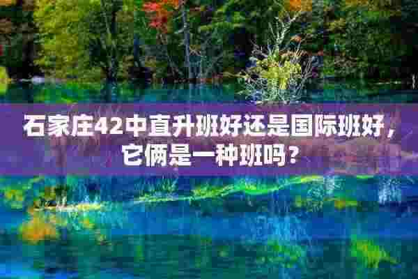 石家庄42中直升班好还是国际班好，它俩是一种班吗？