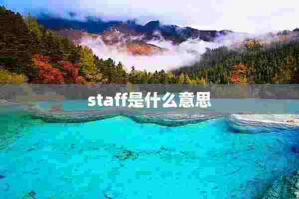 staff是什么意思