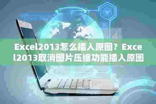 Excel2013怎么插入原图？Excel2013取消图片压缩功能插入原图步骤