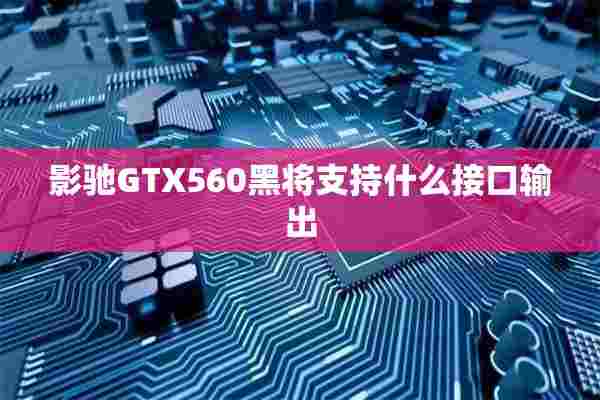 影驰GTX560黑将支持什么接口输出