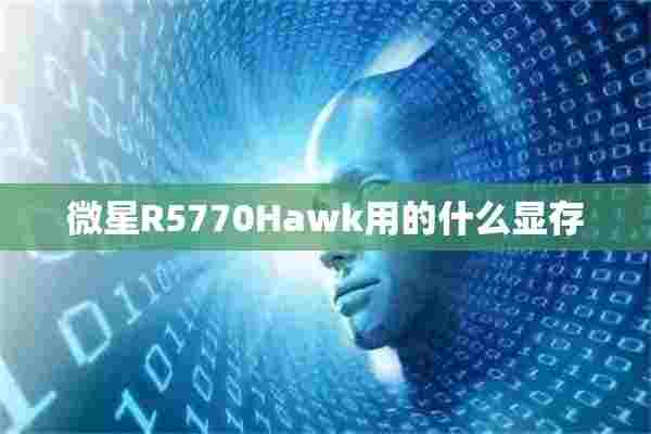 微星R5770Hawk用的什么显存