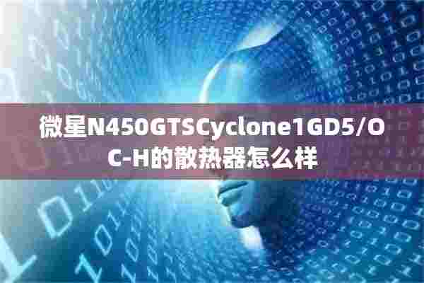 微星N450GTSCyclone1GD5/OC-H的散热器怎么样