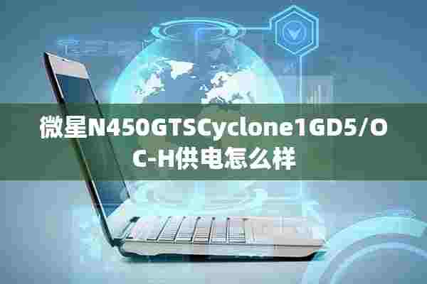 微星N450GTSCyclone1GD5/OC-H供电怎么样