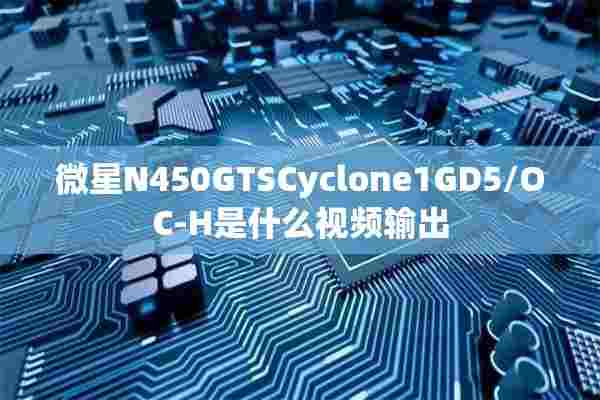 微星N450GTSCyclone1GD5/OC-H是什么视频输出