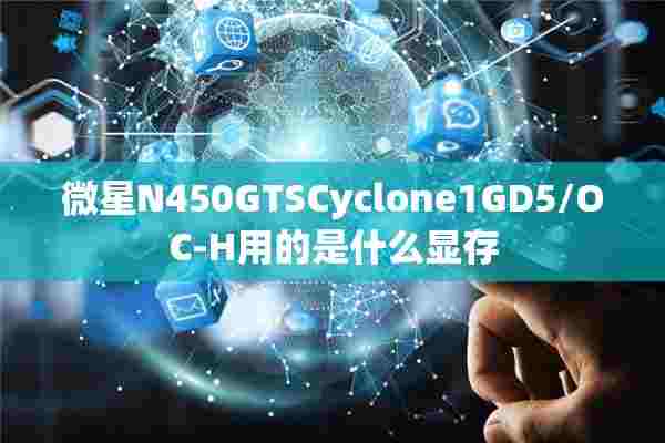 微星N450GTSCyclone1GD5/OC-H用的是什么显存