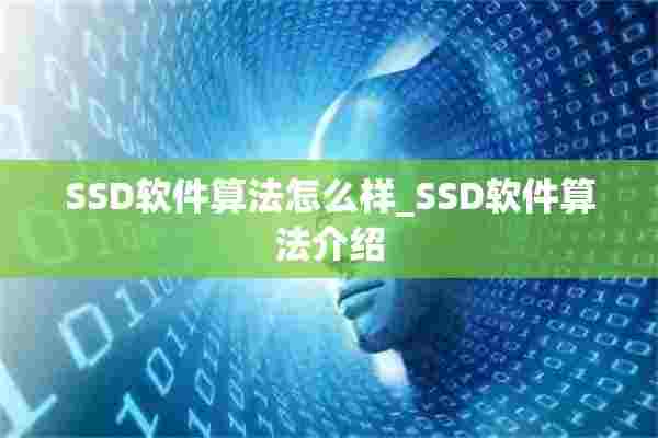 SSD软件算法怎么样_SSD软件算法介绍