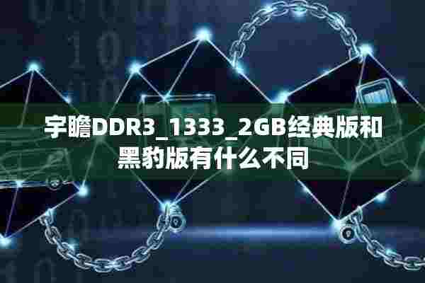 宇瞻DDR3_1333_2GB经典版和黑豹版有什么不同