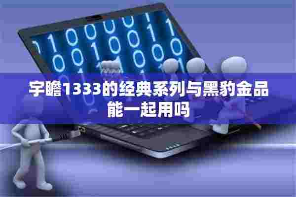 宇瞻1333的经典系列与黑豹金品能一起用吗