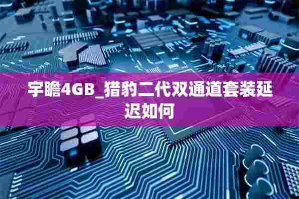 宇瞻4GB_猎豹二代双通道套装延迟如何