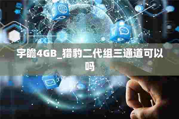 宇瞻4GB_猎豹二代组三通道可以吗