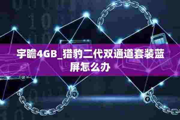 宇瞻4GB_猎豹二代双通道套装蓝屏怎么办