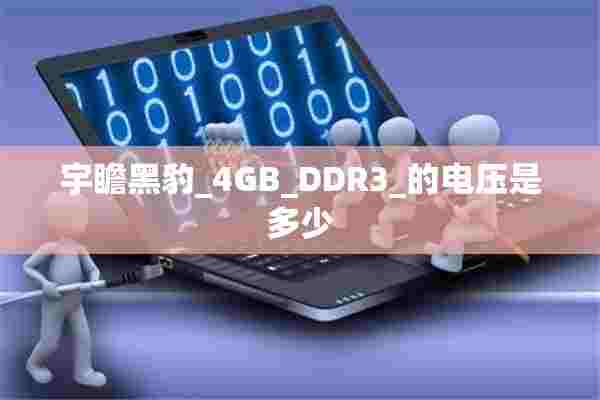 宇瞻黑豹_4GB_DDR3_的电压是多少