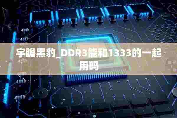 宇瞻黑豹_DDR3能和1333的一起用吗