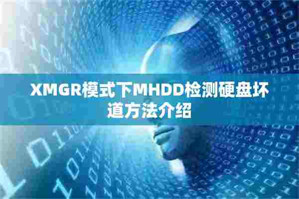 XMGR模式下MHDD检测硬盘坏道方法介绍