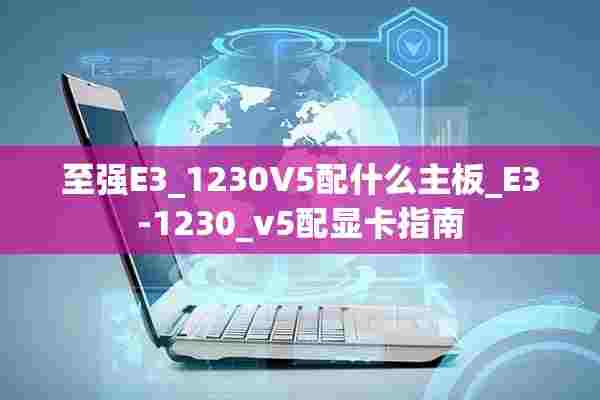 至强E3_1230V5配什么主板_E3-1230_v5配显卡指南