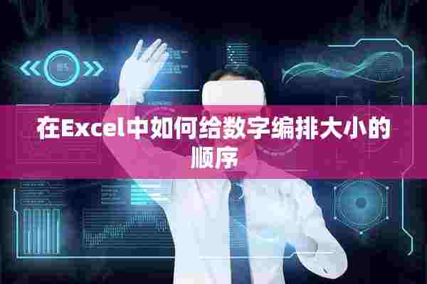 在Excel中如何给数字编排大小的顺序