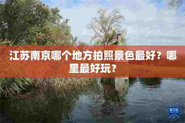 江苏南京哪个地方拍照景色最好？哪里最好玩？