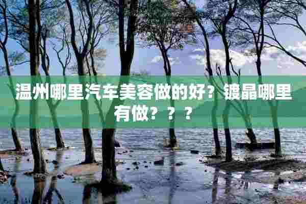 温州哪里汽车美容做的好？镀晶哪里有做？？？