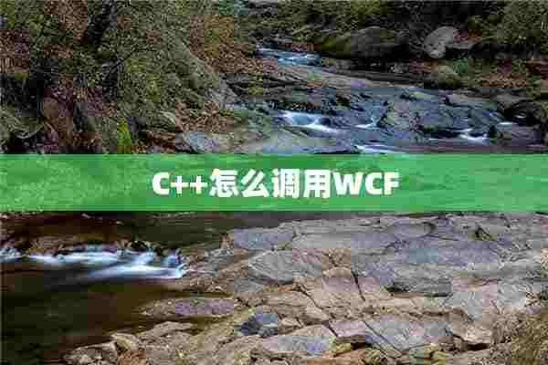 C++怎么调用WCF