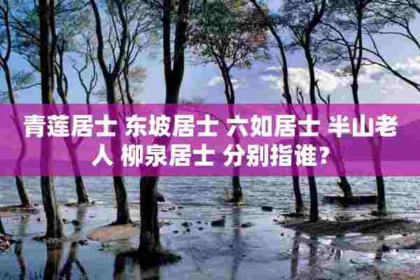 青莲居士 东坡居士 六如居士 半山老人 柳泉居士 分别指谁？
