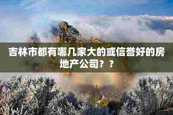 吉林市都有哪几家大的或信誉好的房地产公司？？