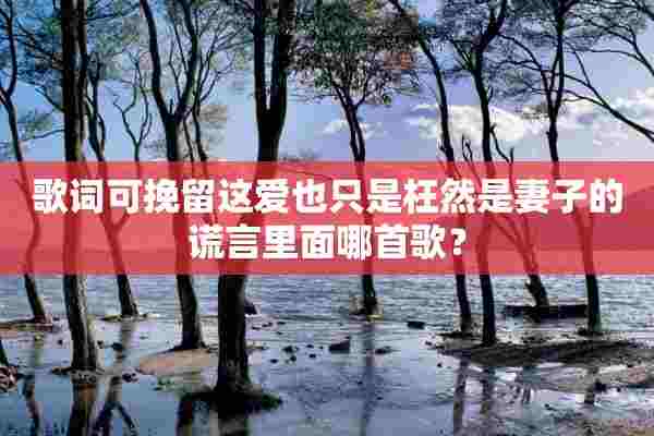 歌词可挽留这爱也只是枉然是妻子的谎言里面哪首歌？