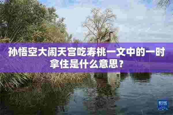 孙悟空大闹天宫吃寿桃一文中的一时拿住是什么意思？