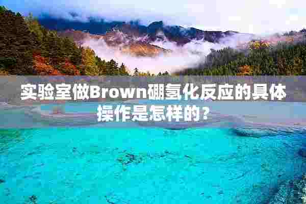 实验室做Brown硼氢化反应的具体操作是怎样的？