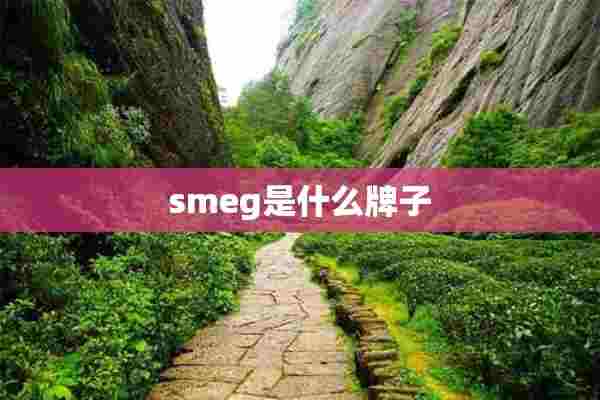 smeg是什么牌子