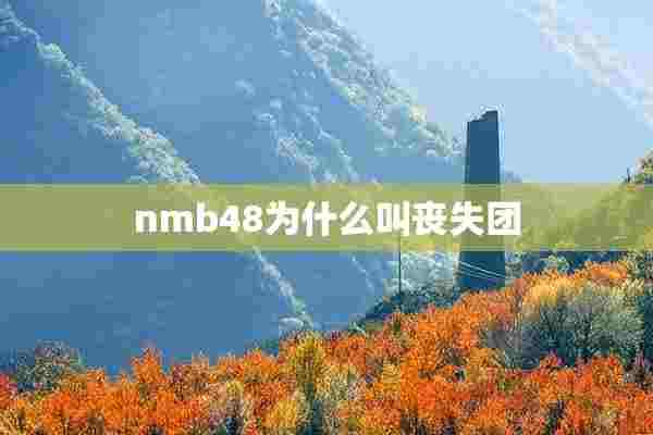 nmb48为什么叫丧失团