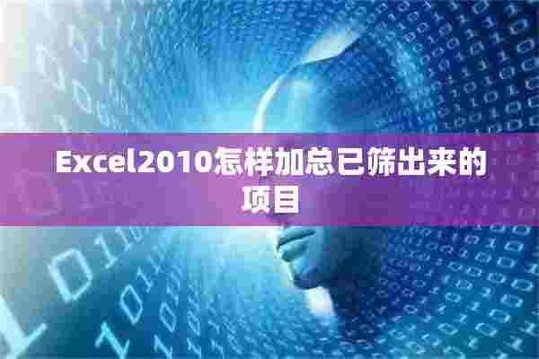 Excel2010怎样加总已筛出来的项目