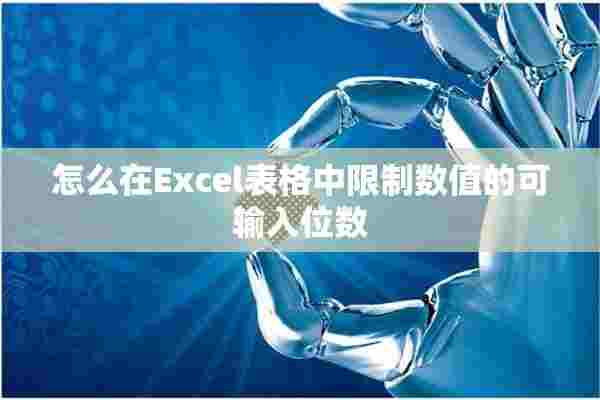 怎么在Excel表格中限制数值的可输入位数