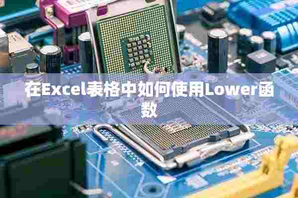 在Excel表格中如何使用Lower函数