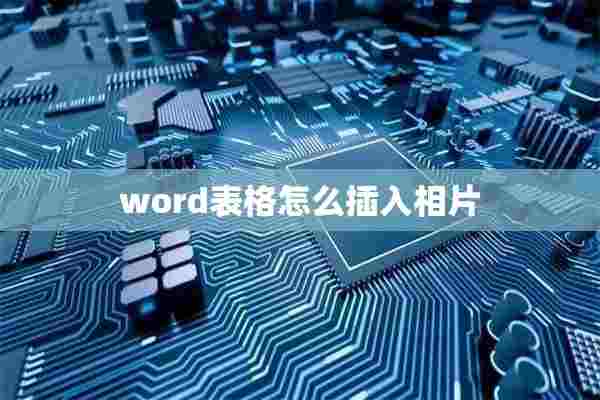 word表格怎么插入相片