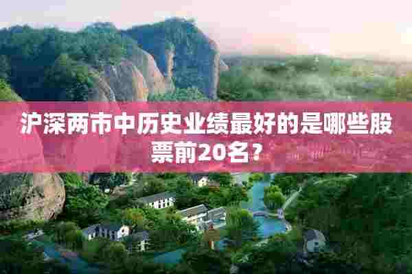 沪深两市中历史业绩最好的是哪些股票前20名？