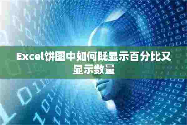 Excel饼图中如何既显示百分比又显示数量