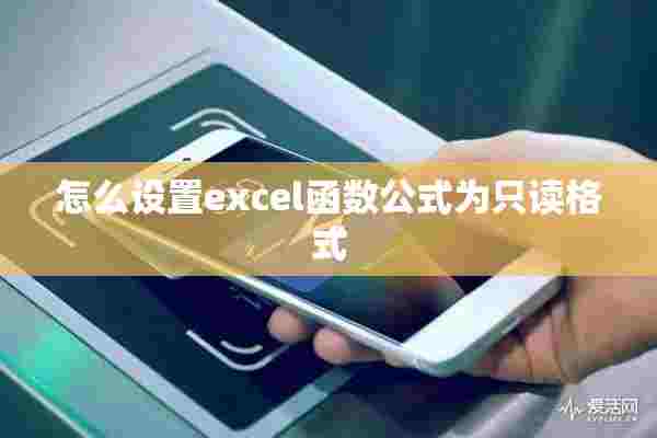 怎么设置excel函数公式为只读格式