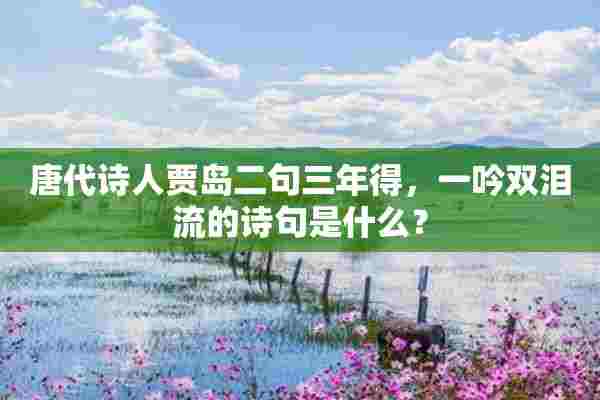 唐代诗人贾岛二句三年得，一吟双泪流的诗句是什么？