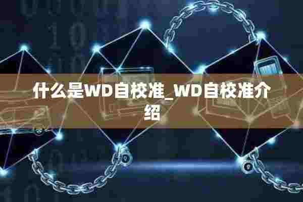 什么是WD自校准_WD自校准介绍