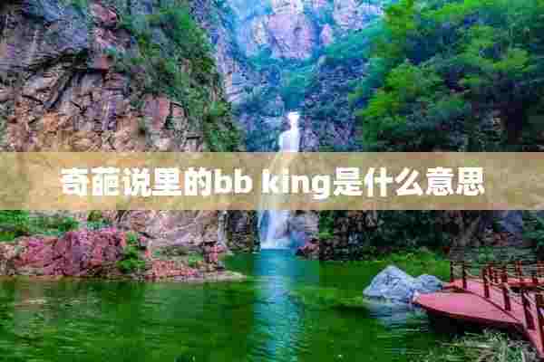 奇葩说里的bb king是什么意思