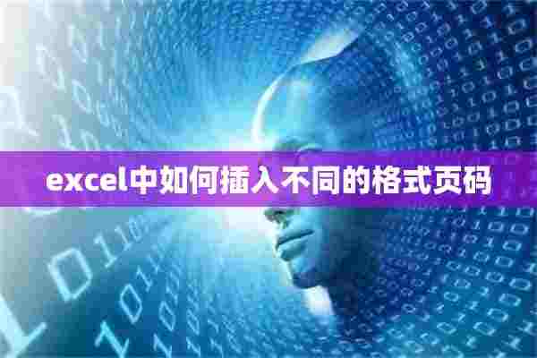 excel中如何插入不同的格式页码