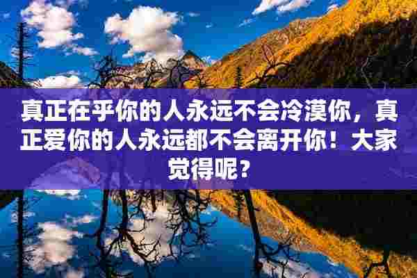 真正在乎你的人永远不会冷漠你，真正爱你的人永远都不会离开你！大家觉得呢？